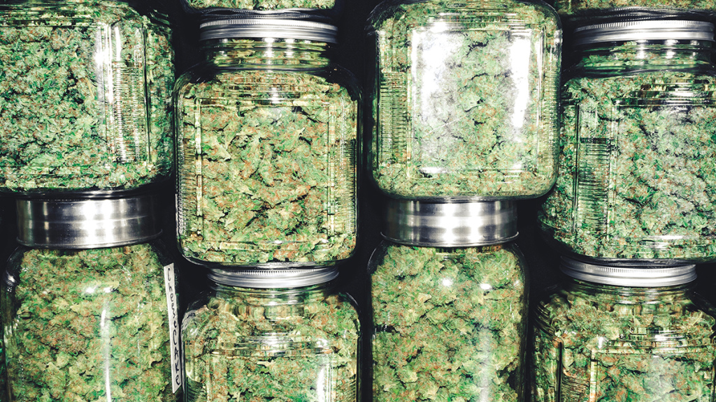 High Time: A guide to Santa Cruz cannabis dispensaries - SantaCruz.com